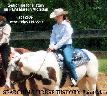 SEARCHING HORSE HISTORY Paint Mare, Near Fraser, MI, 48026